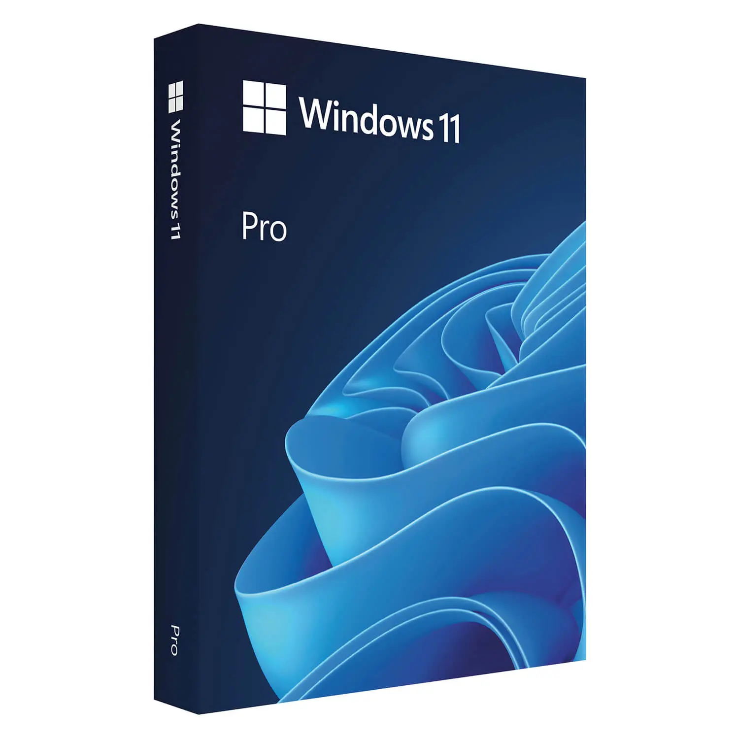 Win Pro FPP 11 64-bit All Lng PK Lic Online DwnLd NR FQC_10572